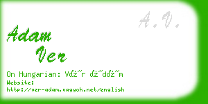 adam ver business card